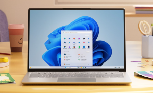 Windows 11 Pro China 简体中文 ISO官方版- 下载