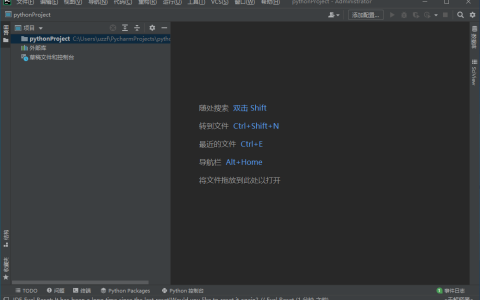 Python  编程工具 JetBrains PyCharm Professional 2024.3.2 中文免费版